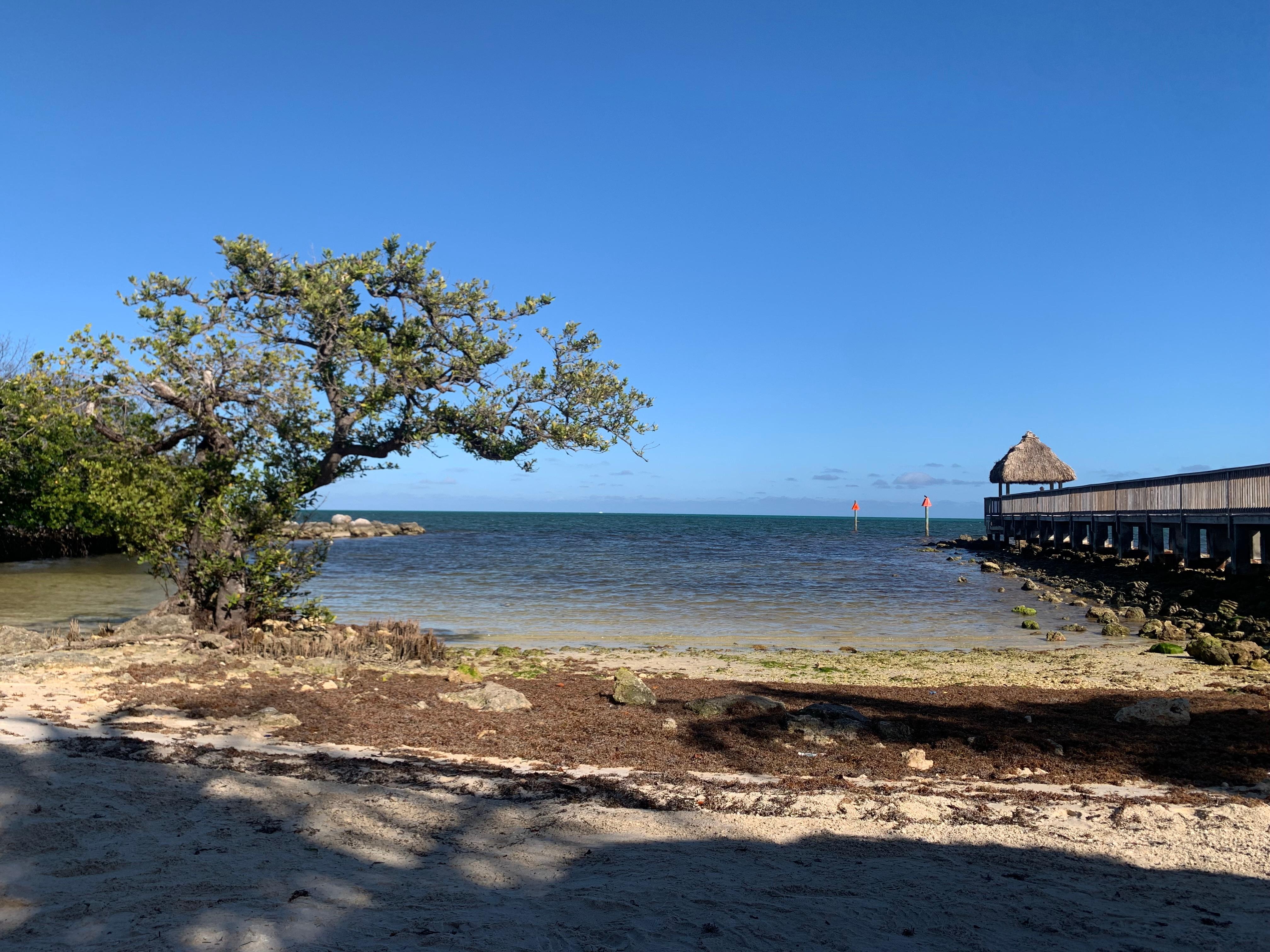 From the private beach on the property