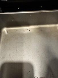 Roach Poop