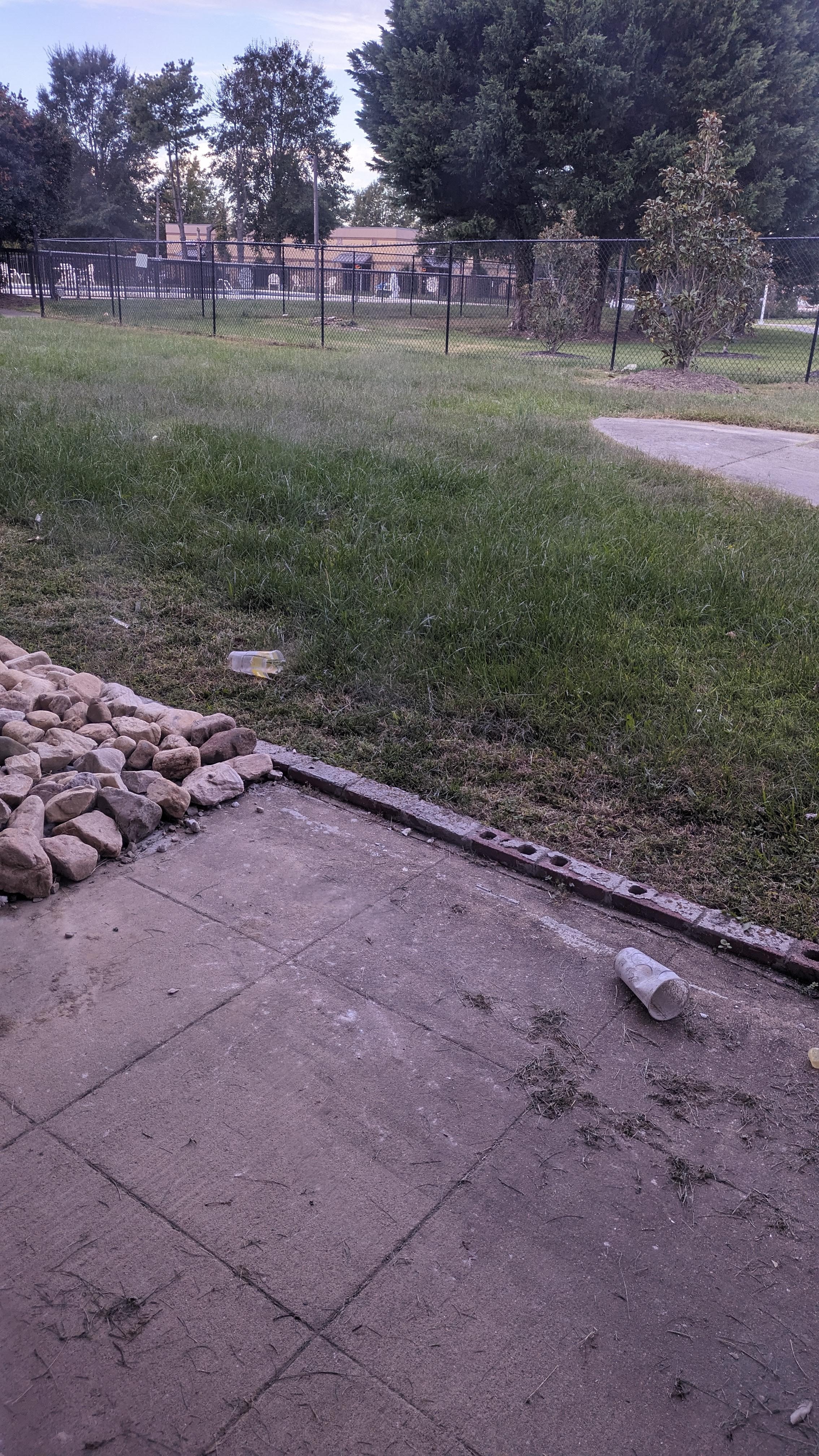 Great view of the unkept "yard"