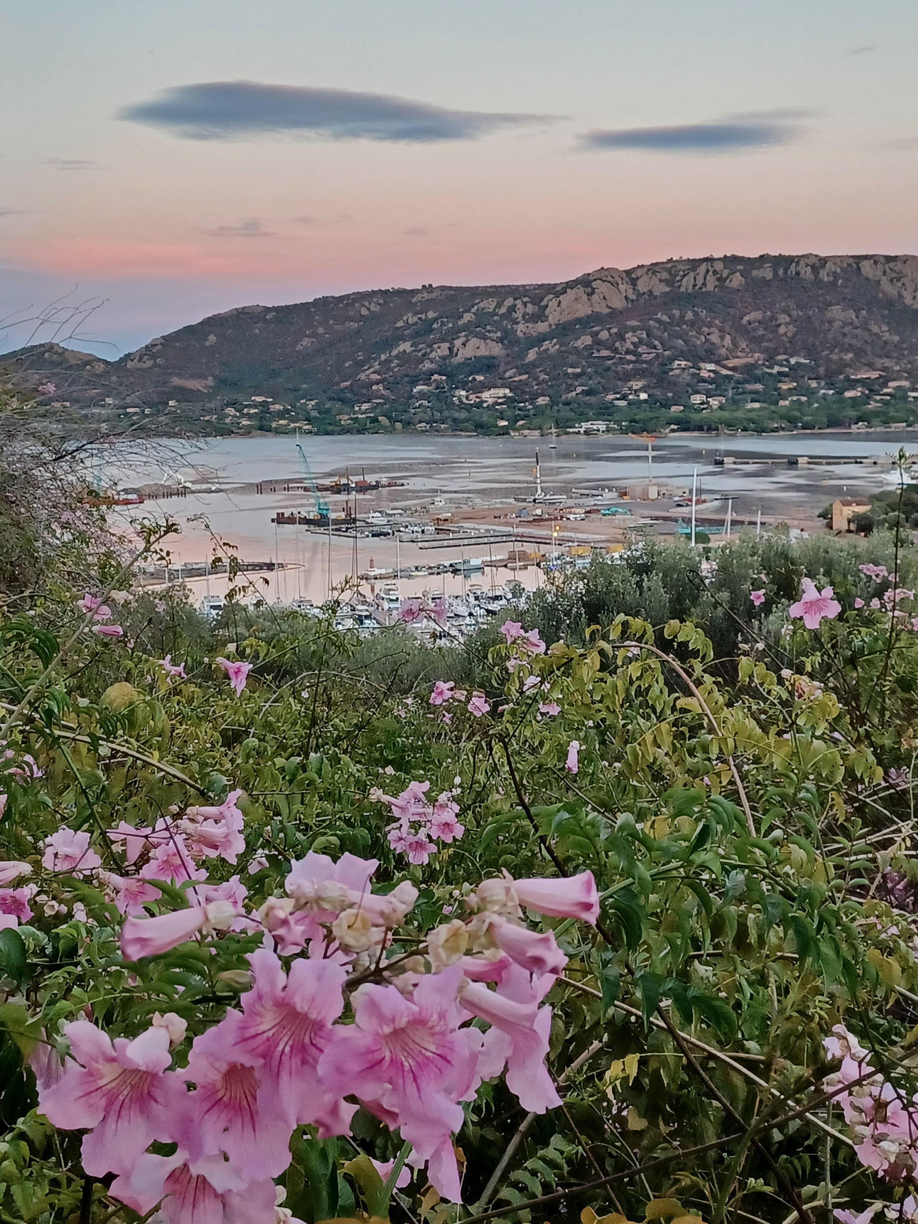 Abendstimmung am Hafen 