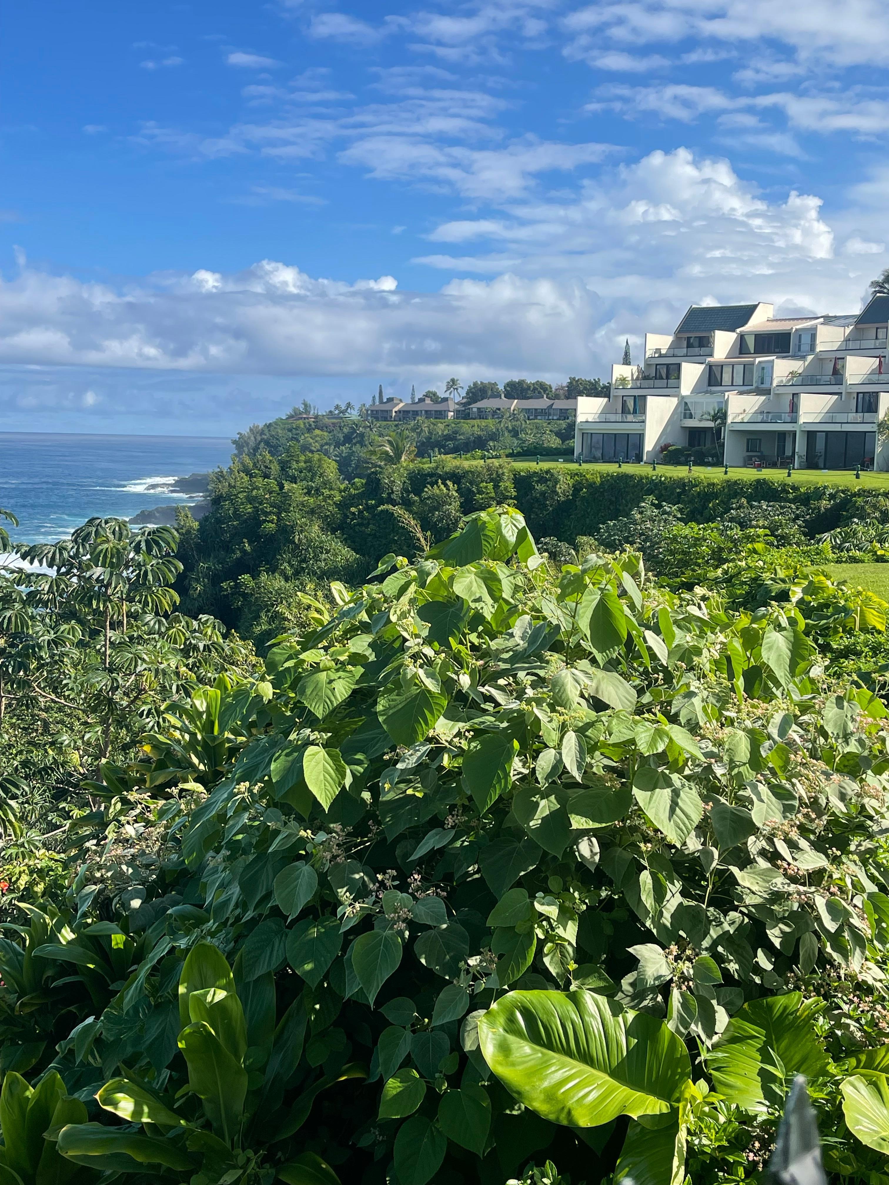 Looking at the back of condo from the pool