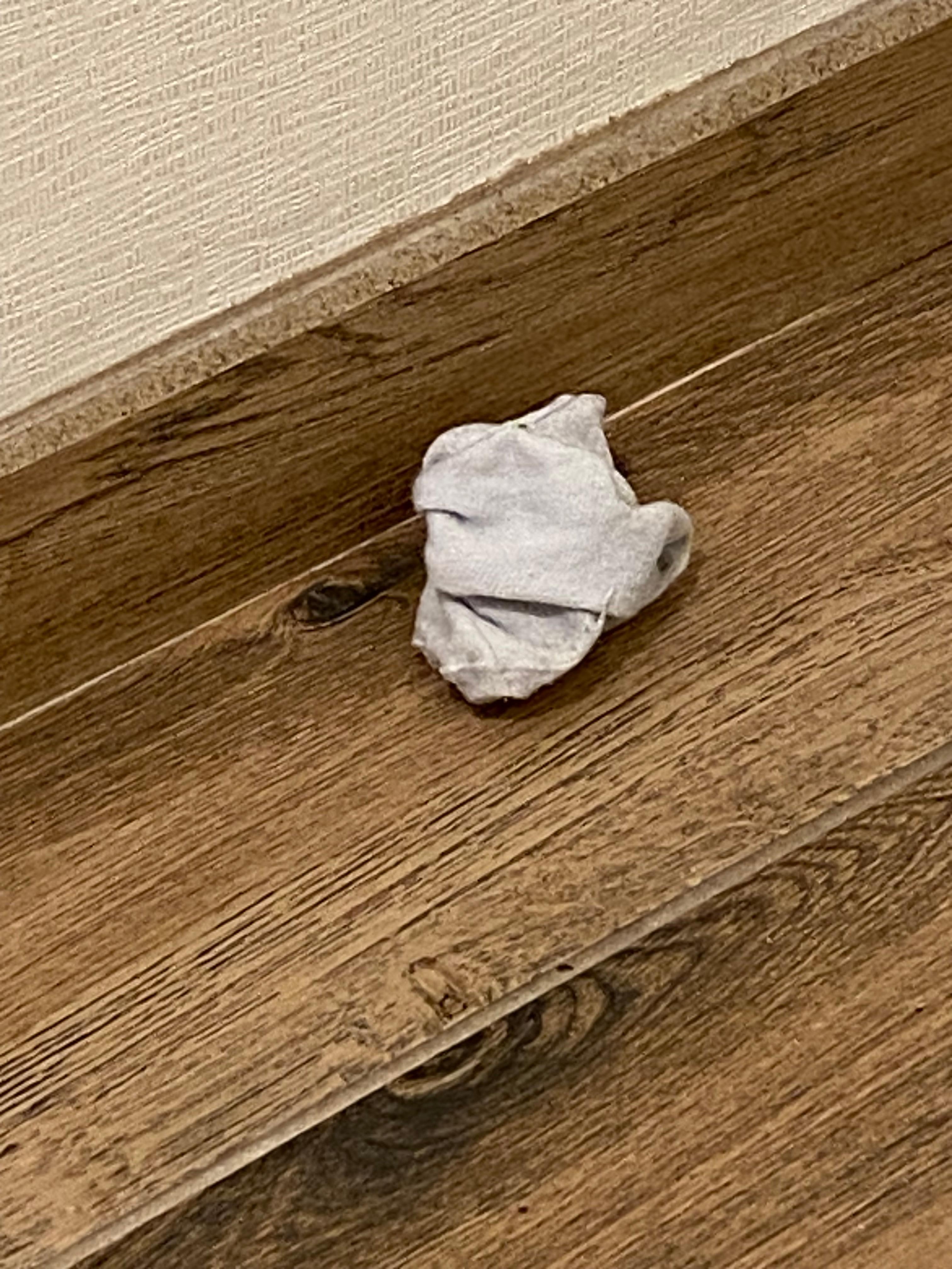 Sock left by previous occupant 
