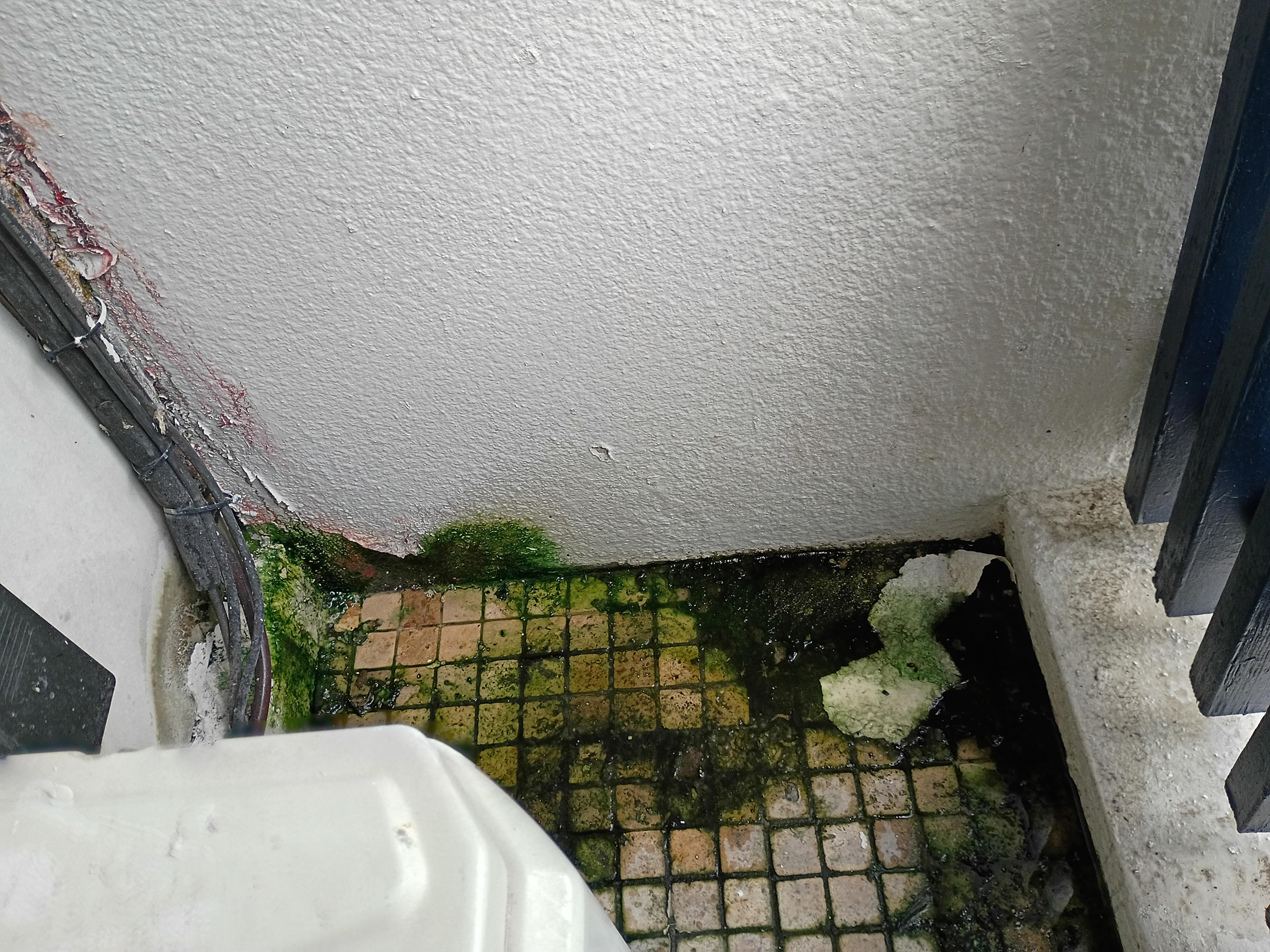 This is what the balcony looked like. If you have allergies to mold, be sure not to use the balcony bedroom.