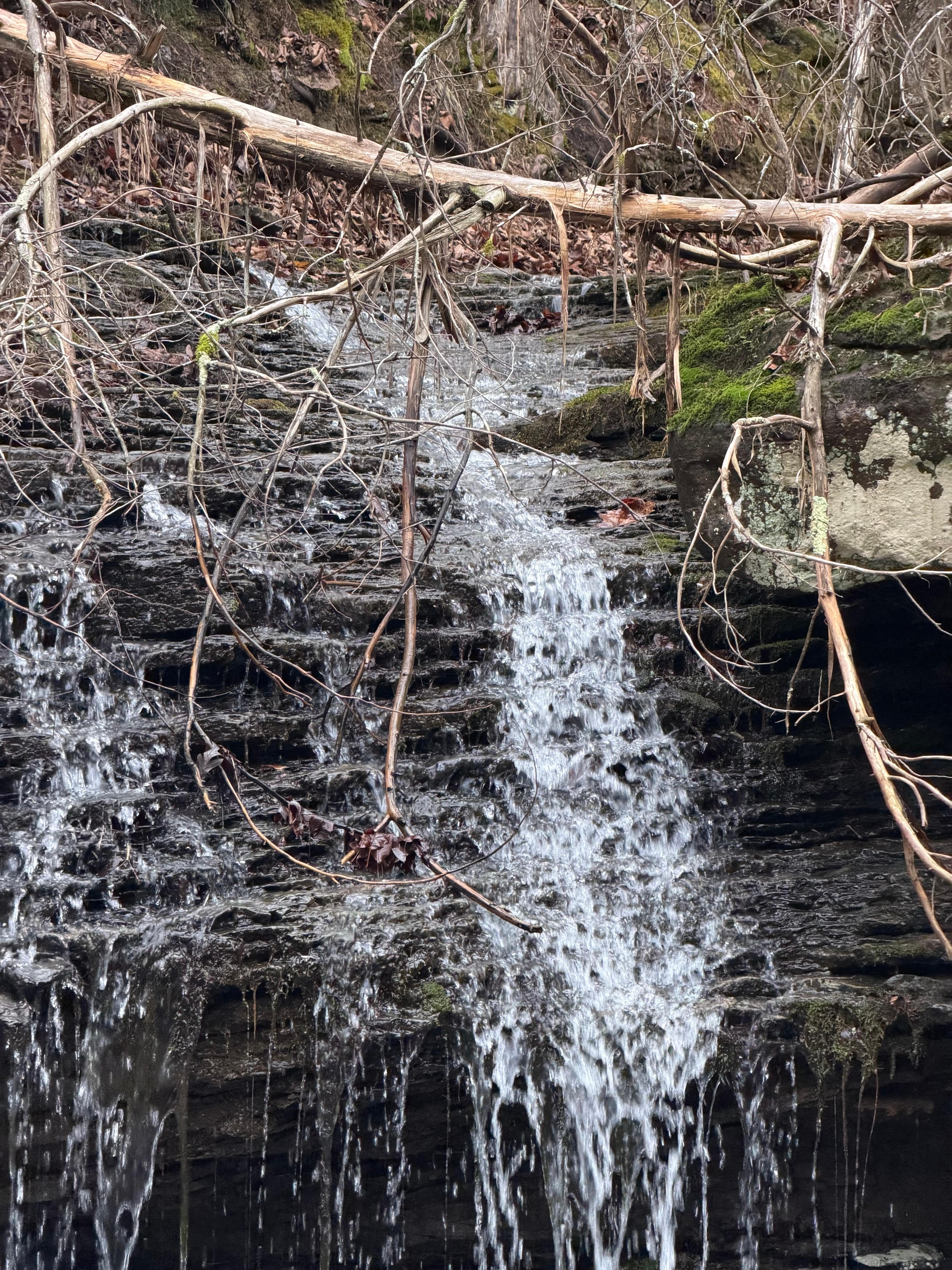 Just down the hill from the house