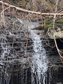 Just down the hill from the house