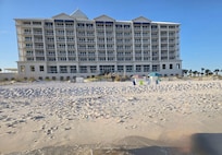 Looking back from gulf