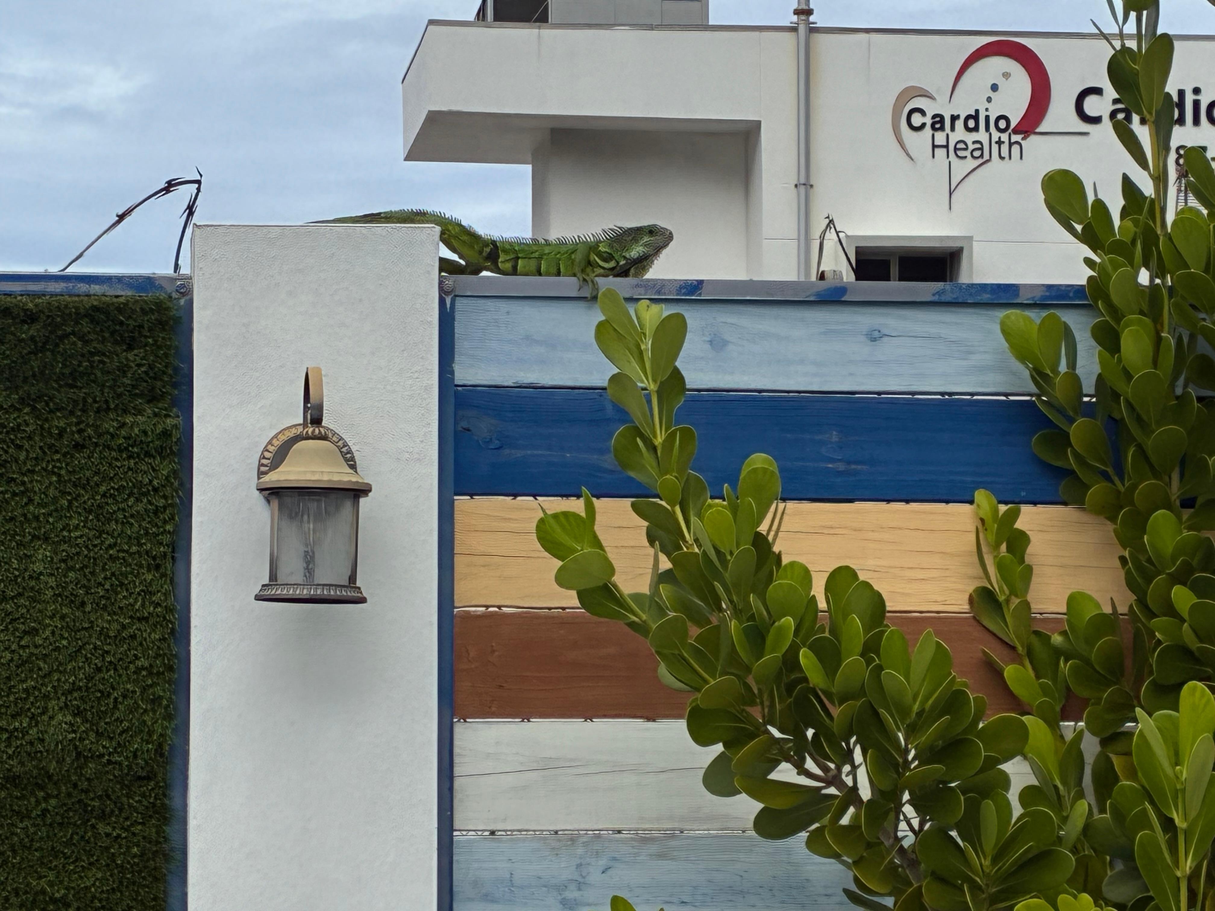 Our friend for the day!