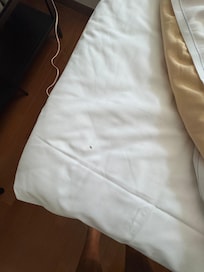 發現昆蟲