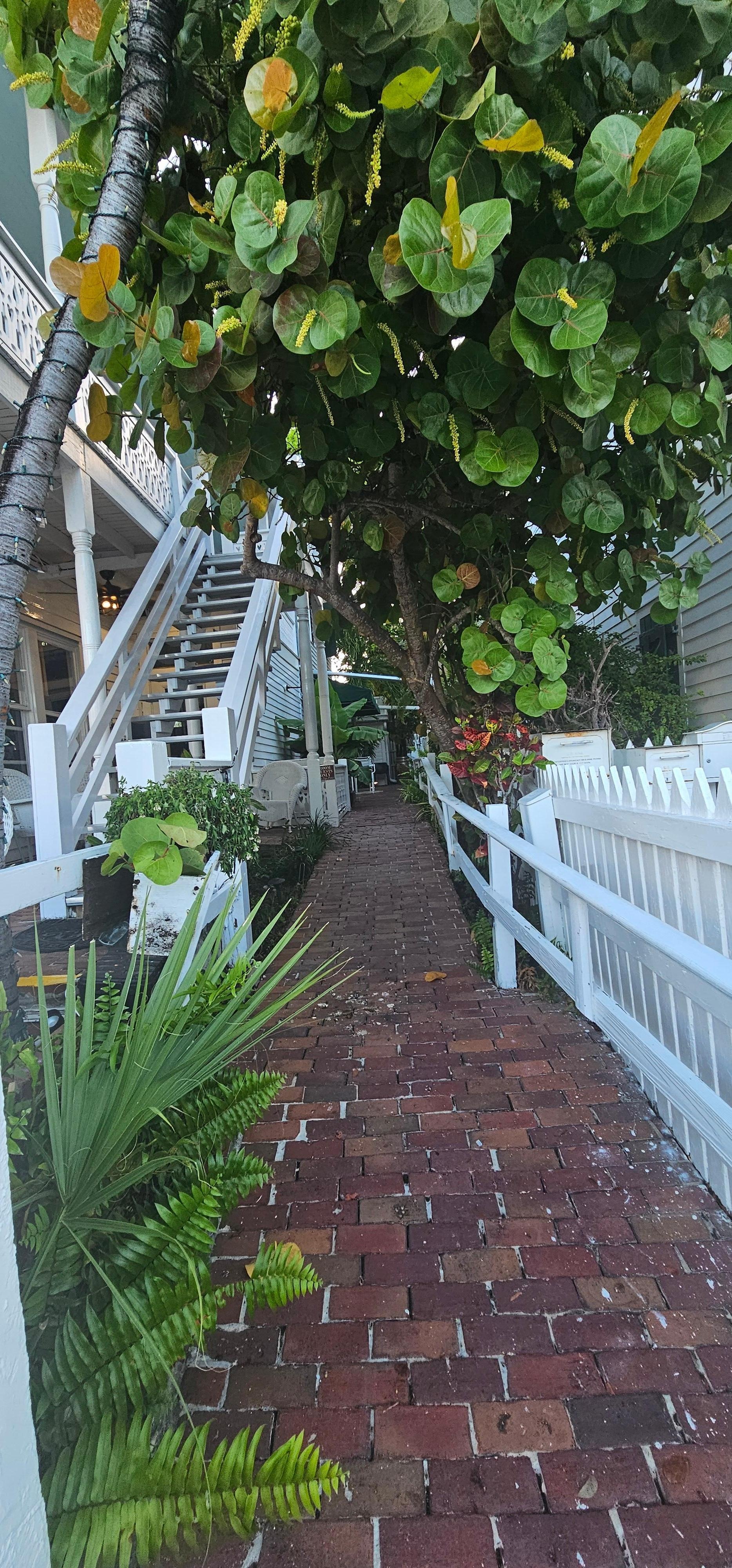 Beginning of walkway from Duval. Hidden from public