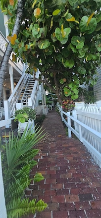 Beginning of walkway from Duval. Hidden from public