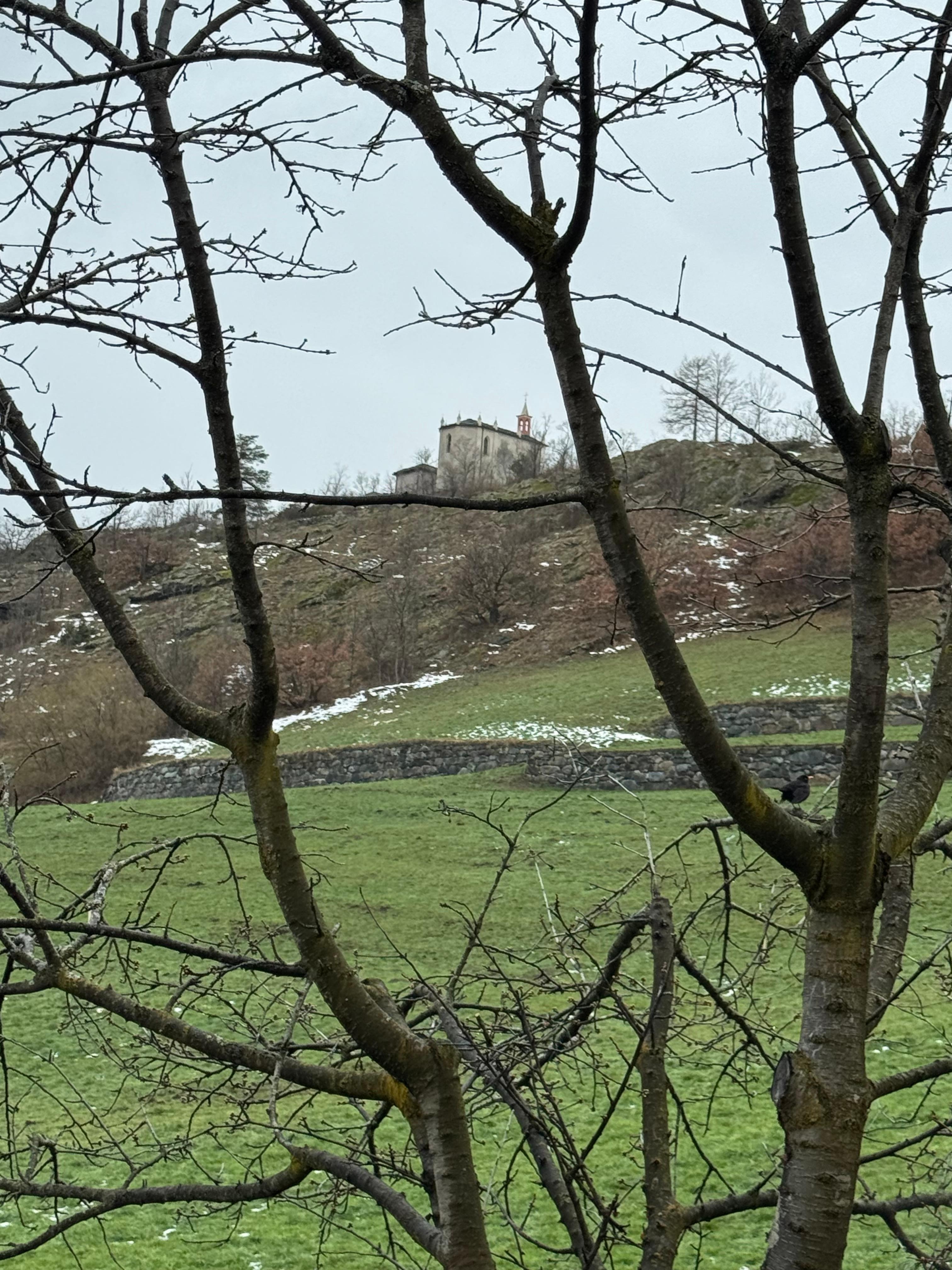 View from breakfast room