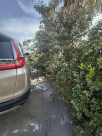 I was partly in the next parking space just so my daughter could squeeze out of the car. Once the other guests arrived, I had to get closer to the bush.