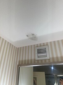 Mold on ceiling