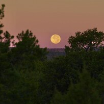 Beautiful moon the following morning