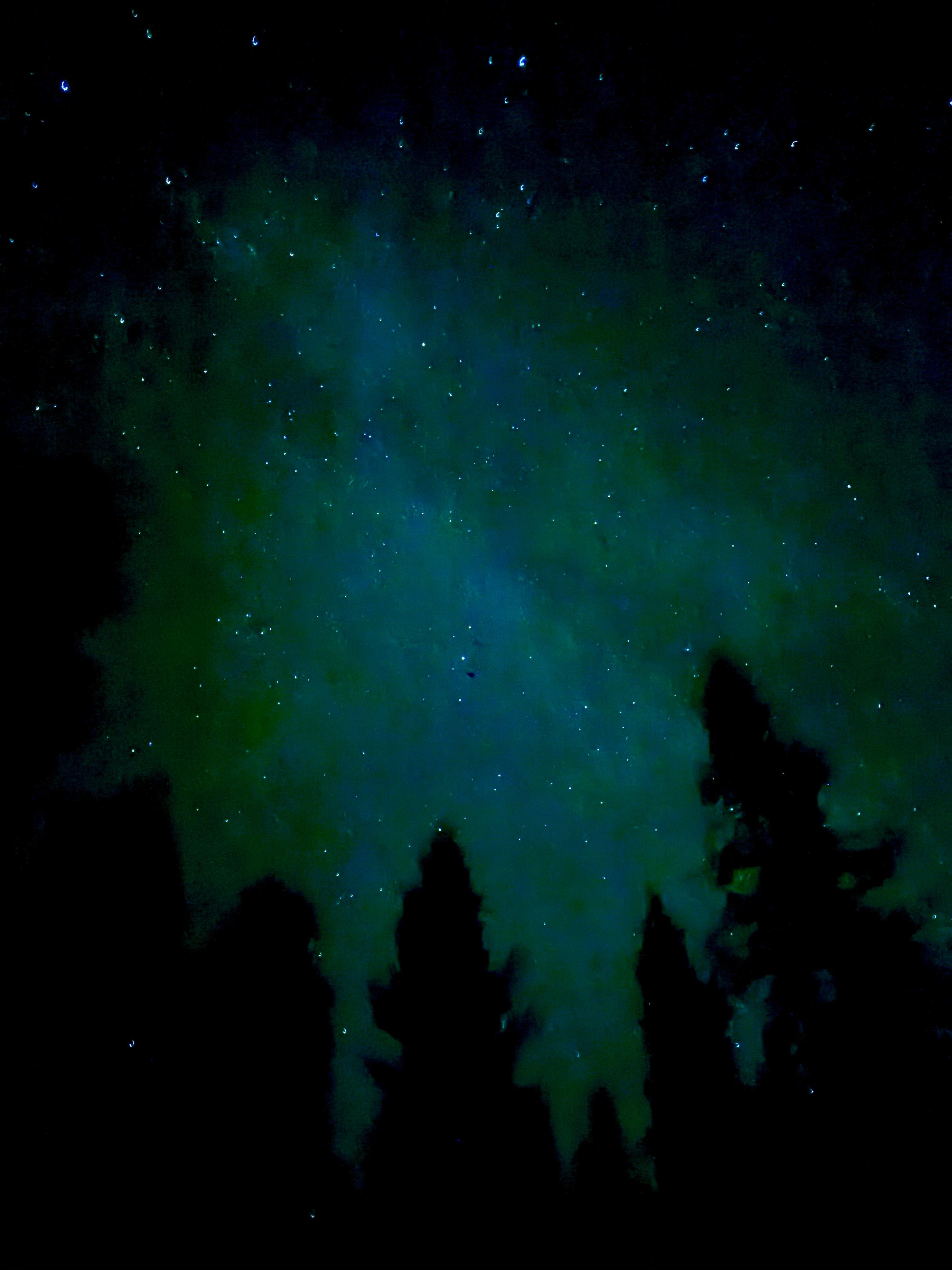 Northern Lights in the backyard!