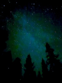 Northern Lights in the backyard!