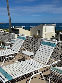 Iguanas sunbathing at the pool!