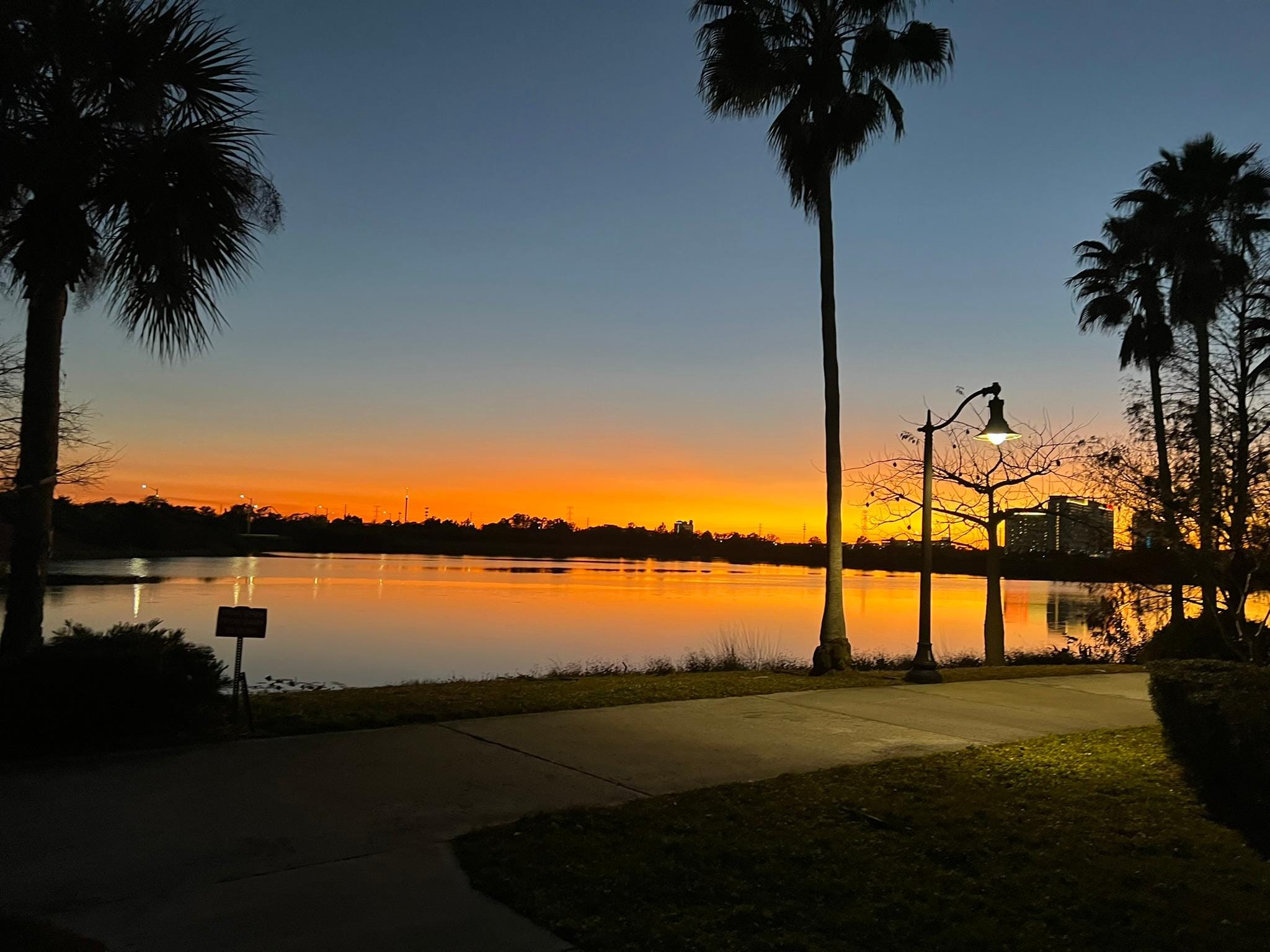 Beautiful views on the backside of the room. 