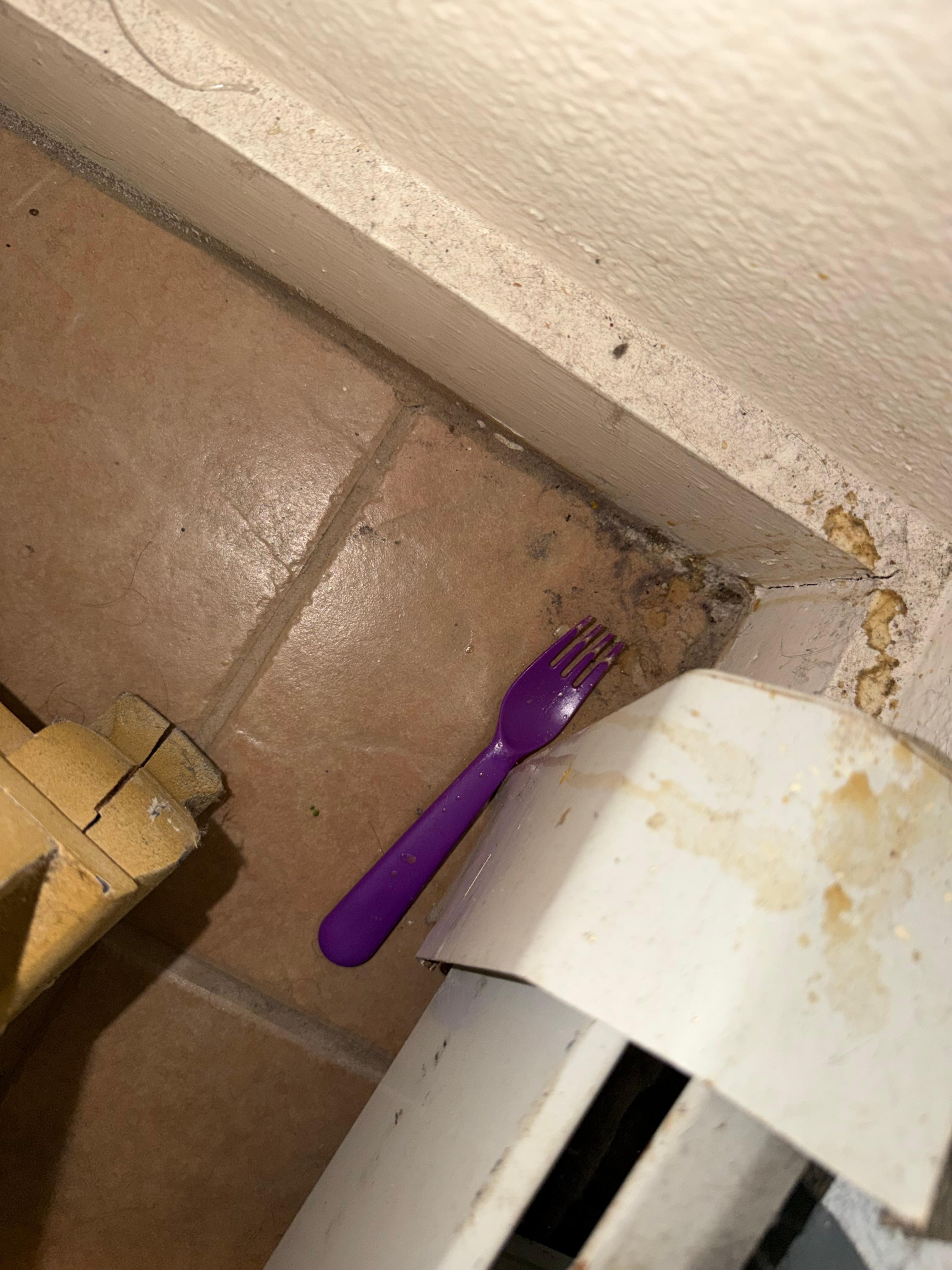 Nasty fork in the main bedroom.