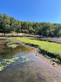 Cabin from the lake