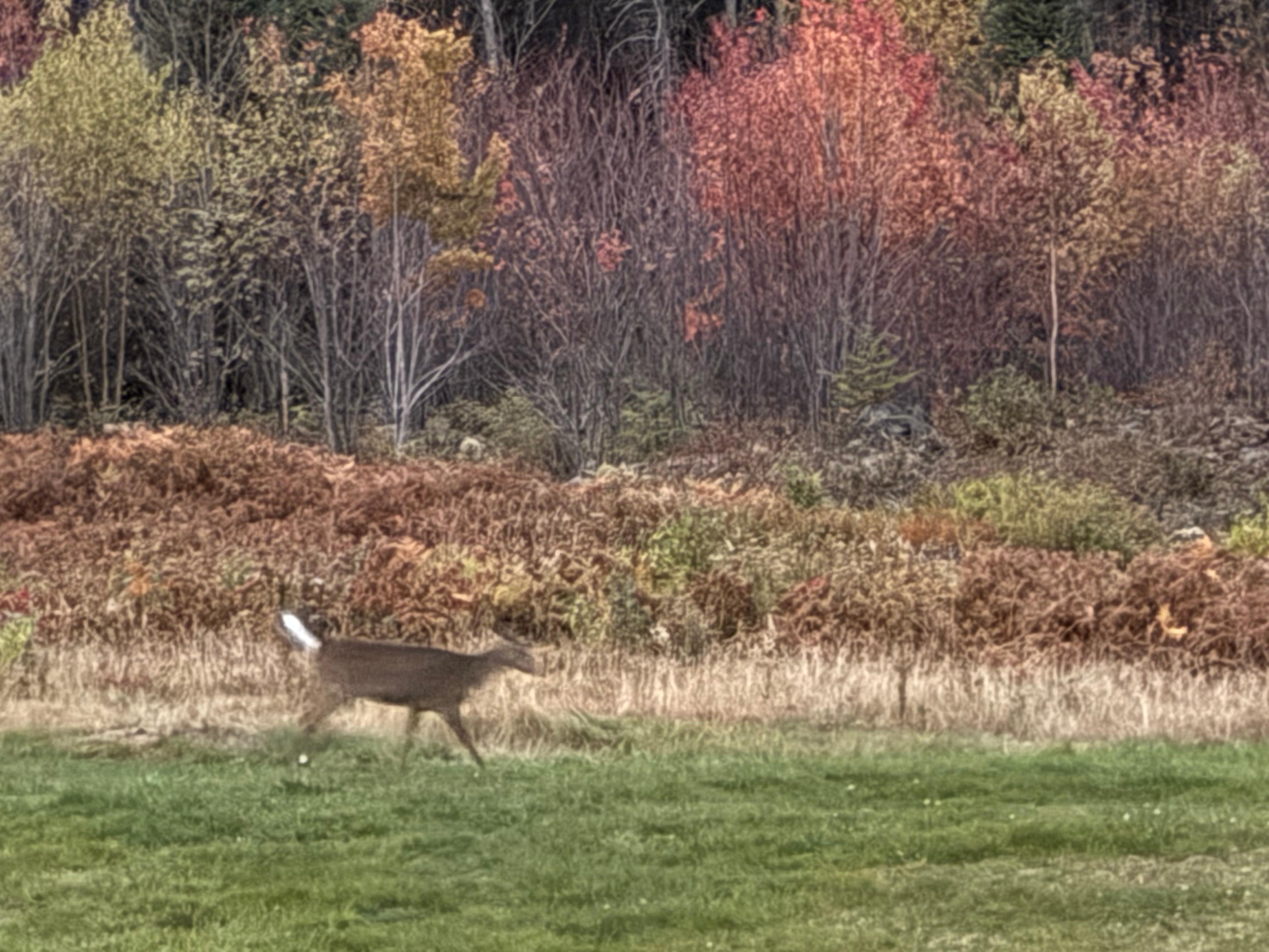 Photo from the balcony. 