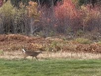 Photo from the balcony.