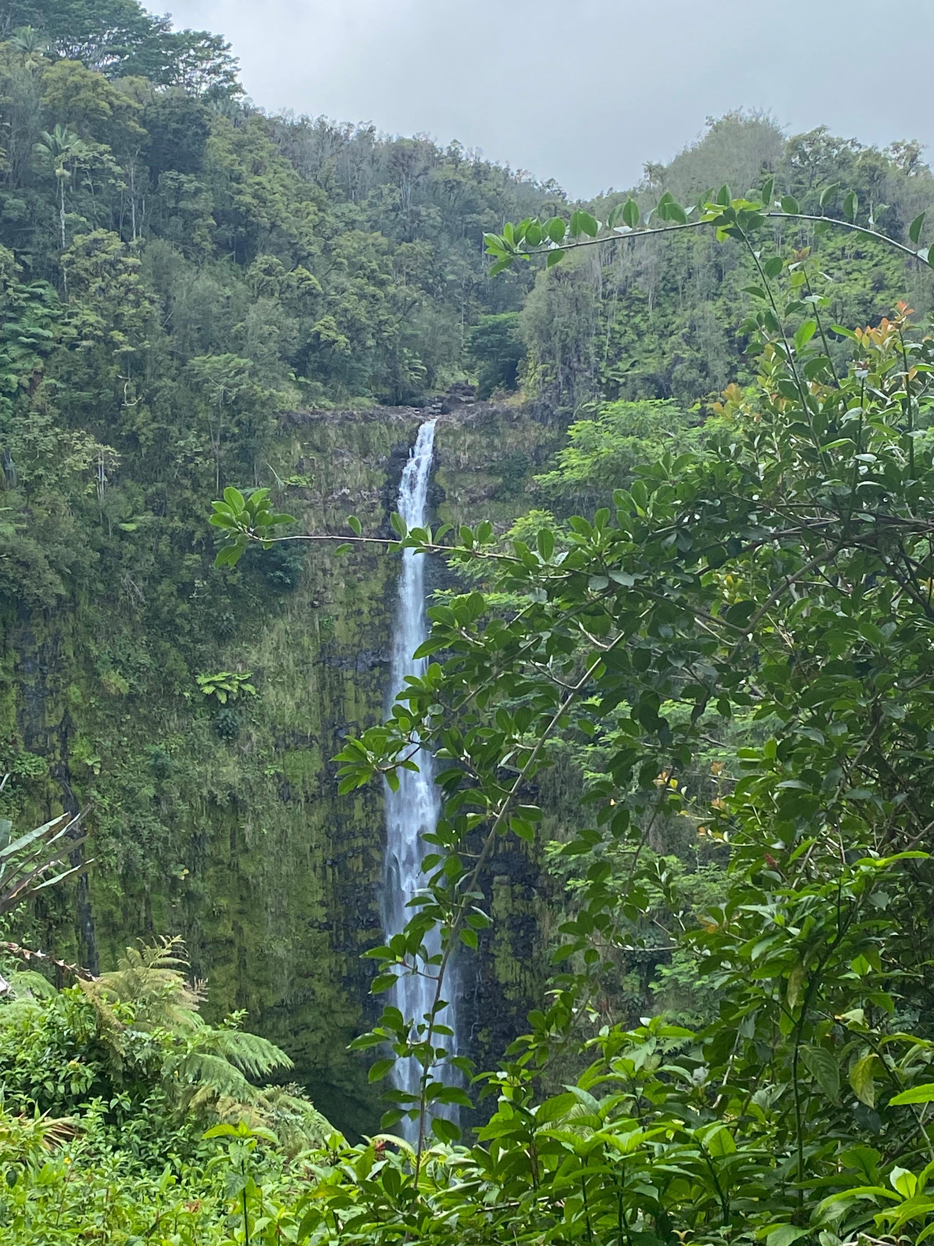 Clues from the pictures in the house helped us find fun things. 