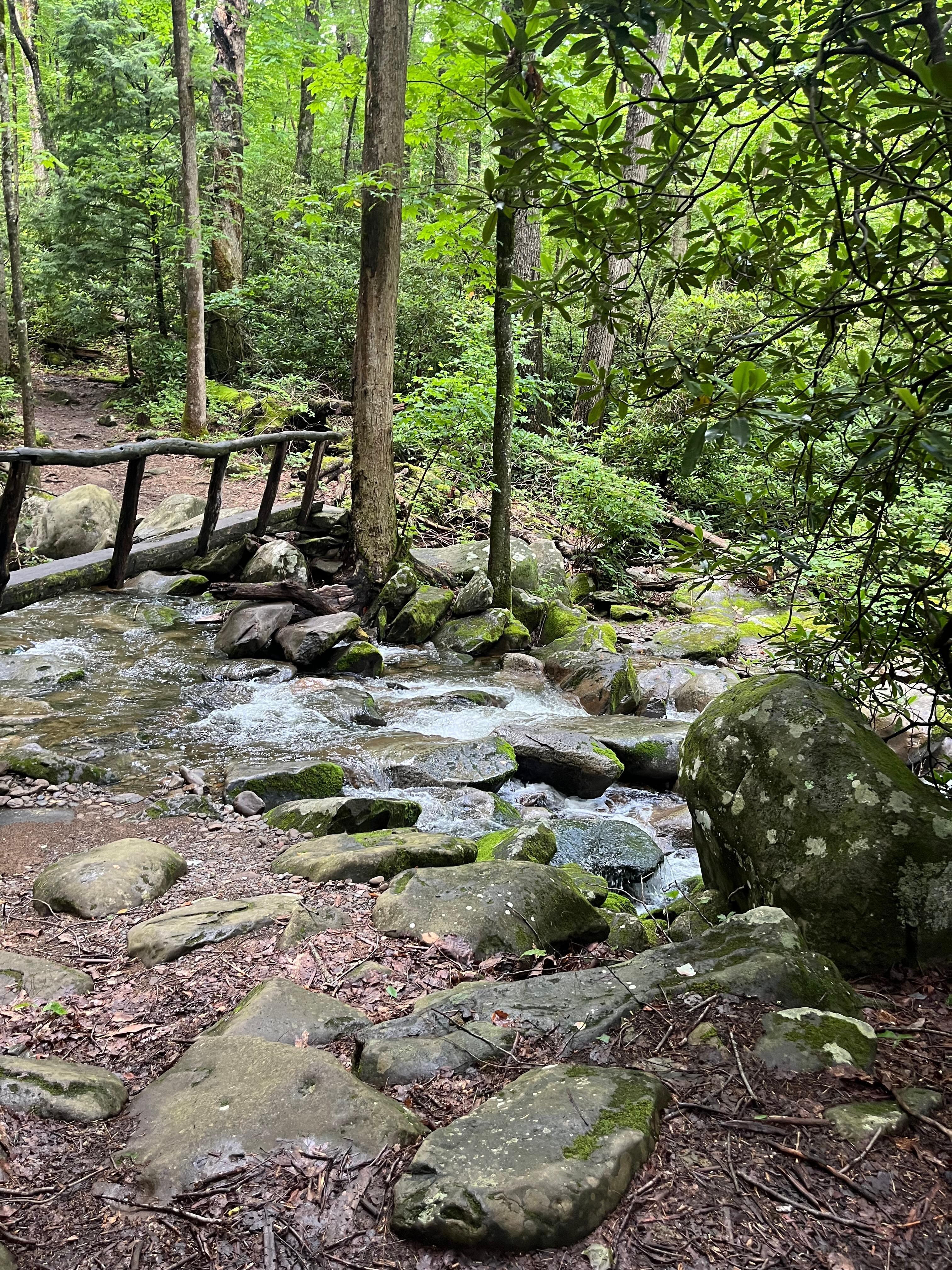 Hen Wallow Trail 