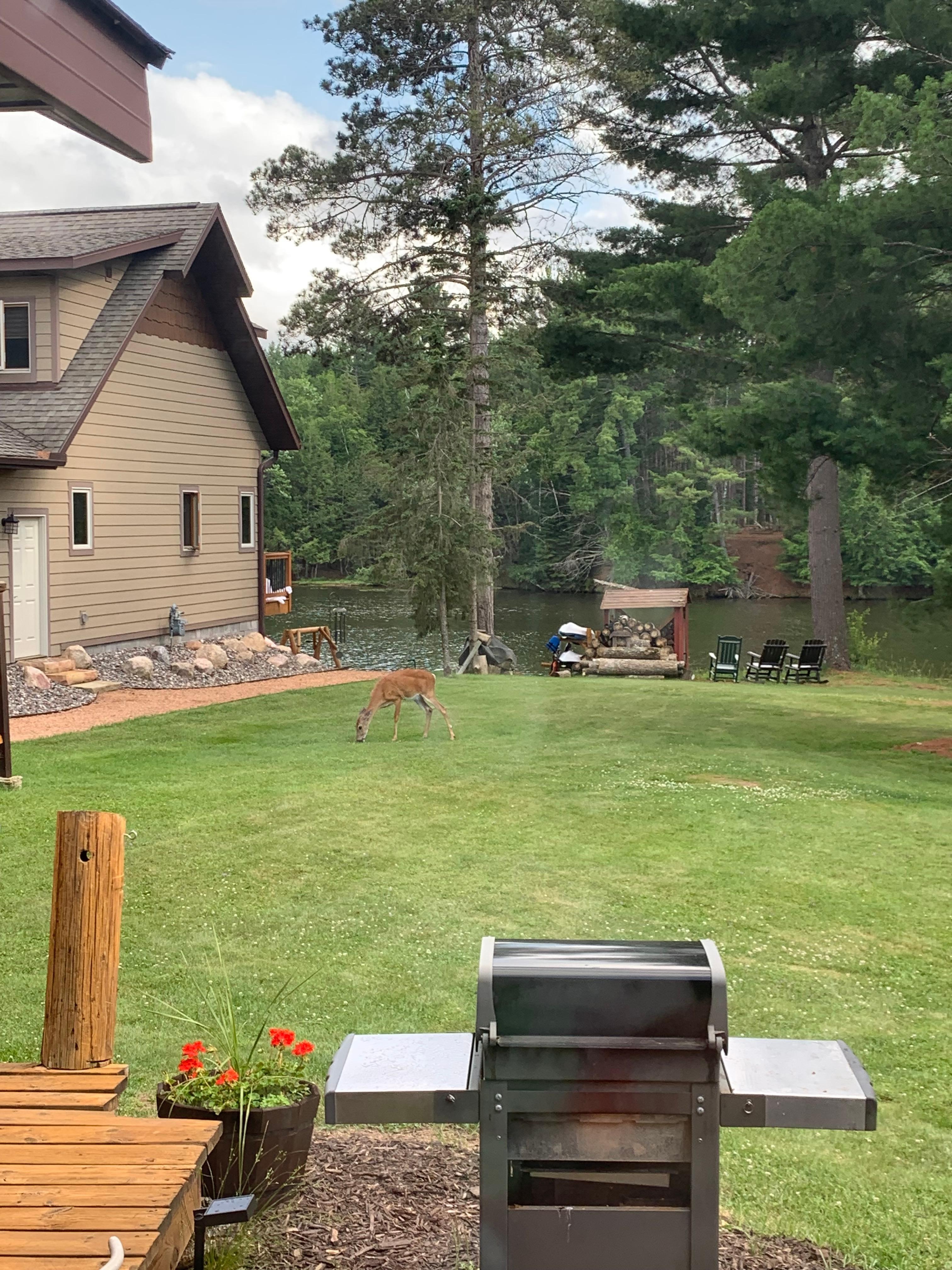 We had a visitor during our stay