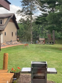 We had a visitor during our stay