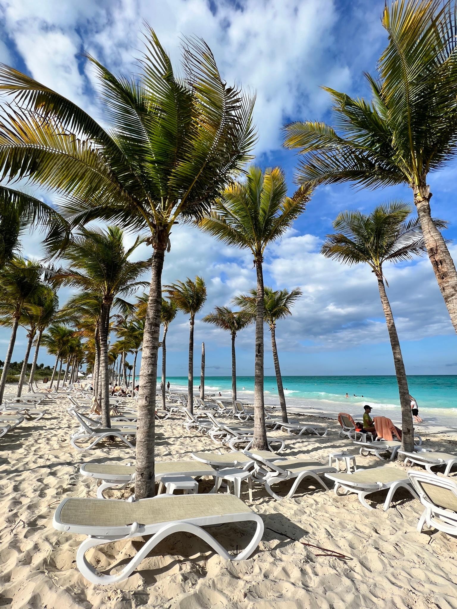 Beach 🏝️