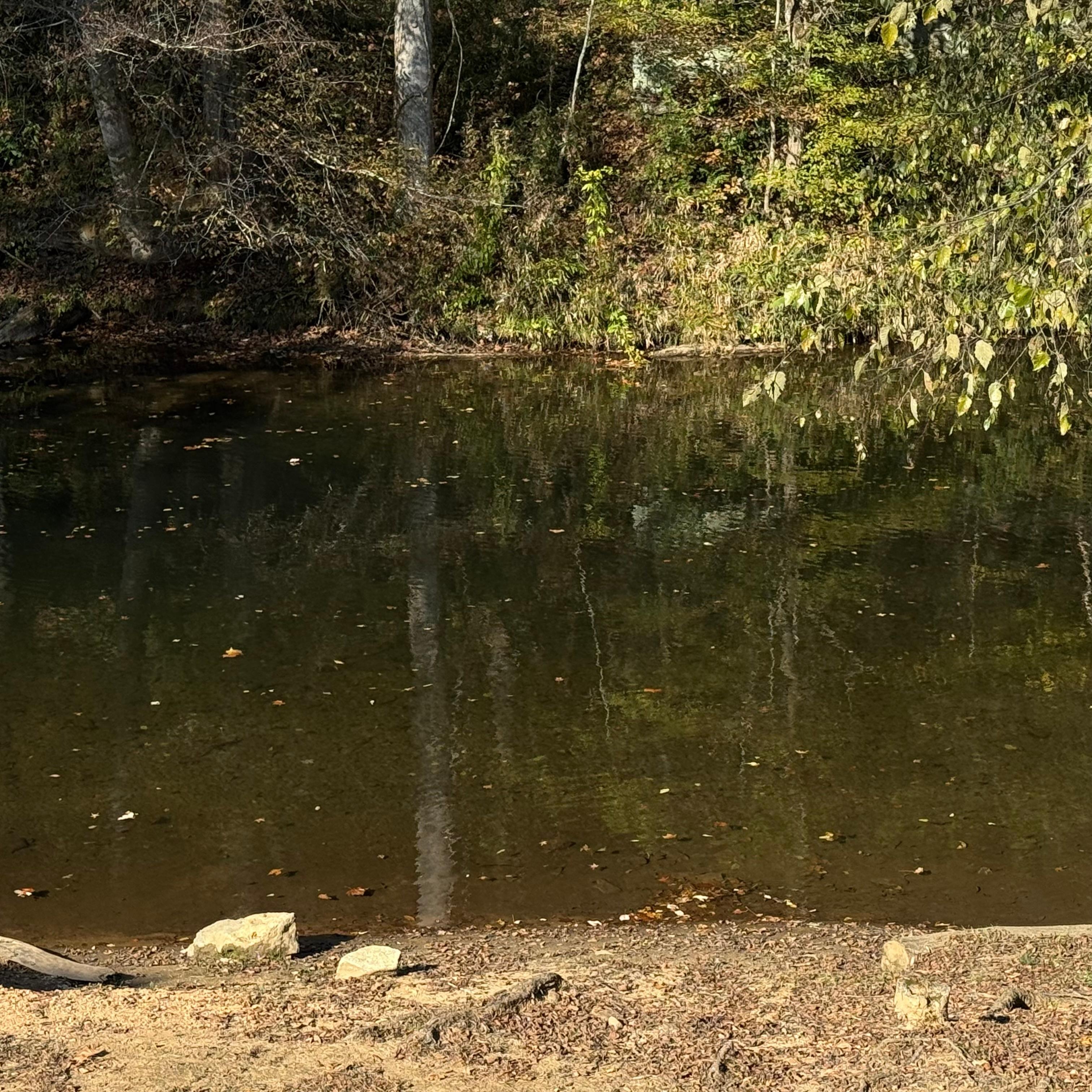 View with coffee in the
Morning 