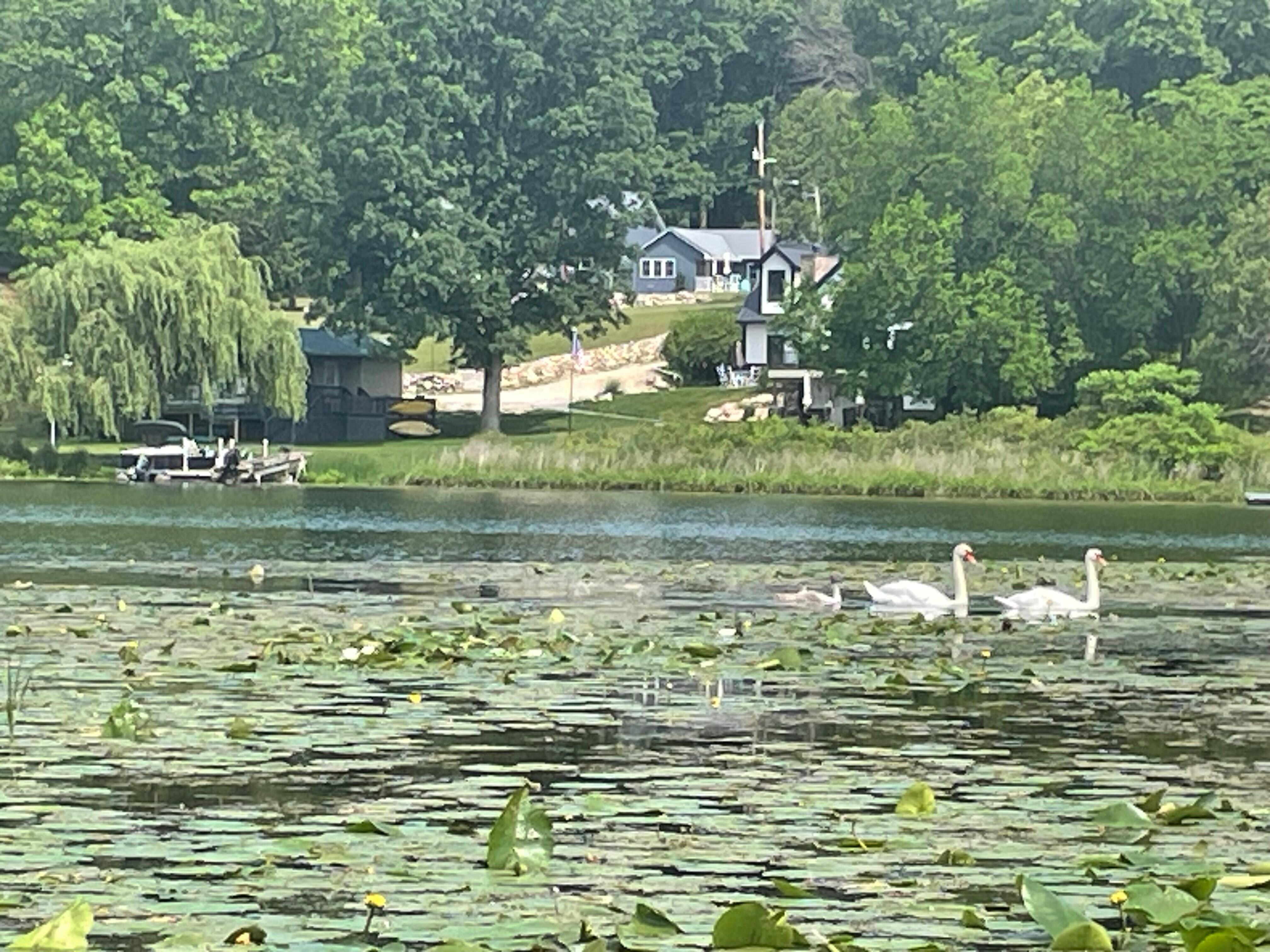 View from the yard 