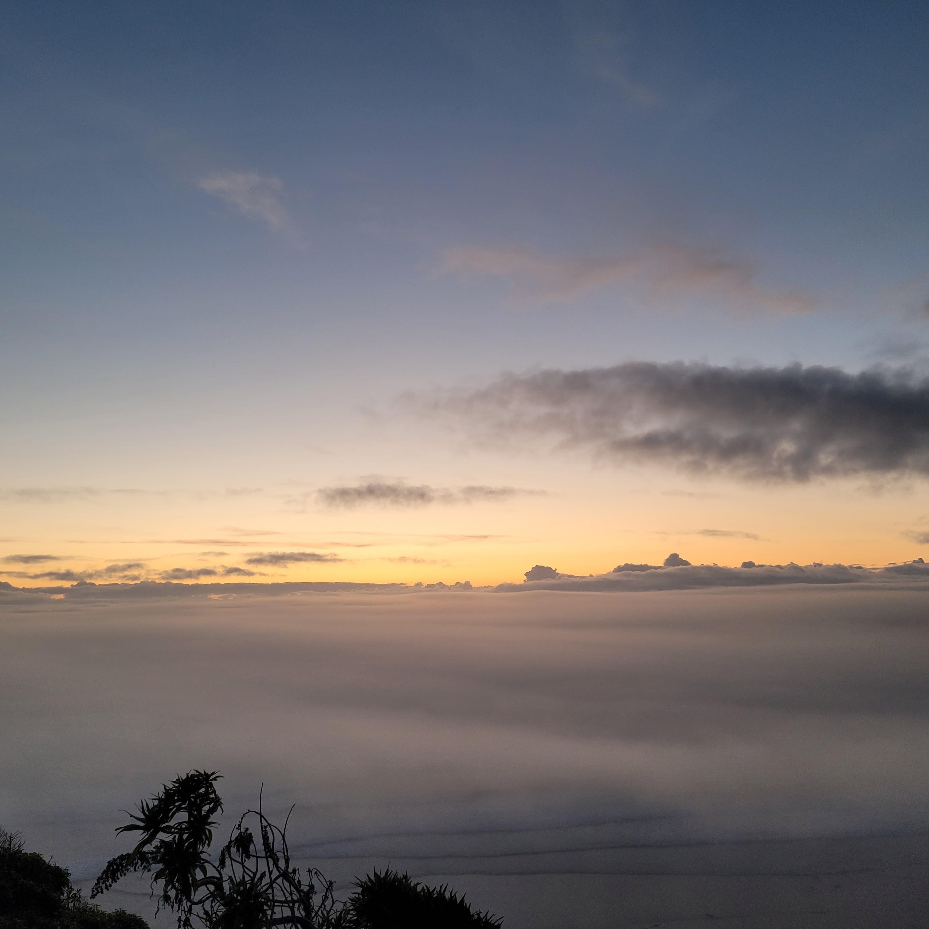 View from the parking spot in front in September
