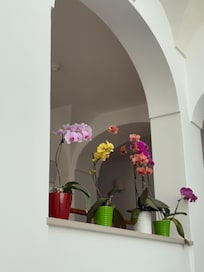Lovely orchids.