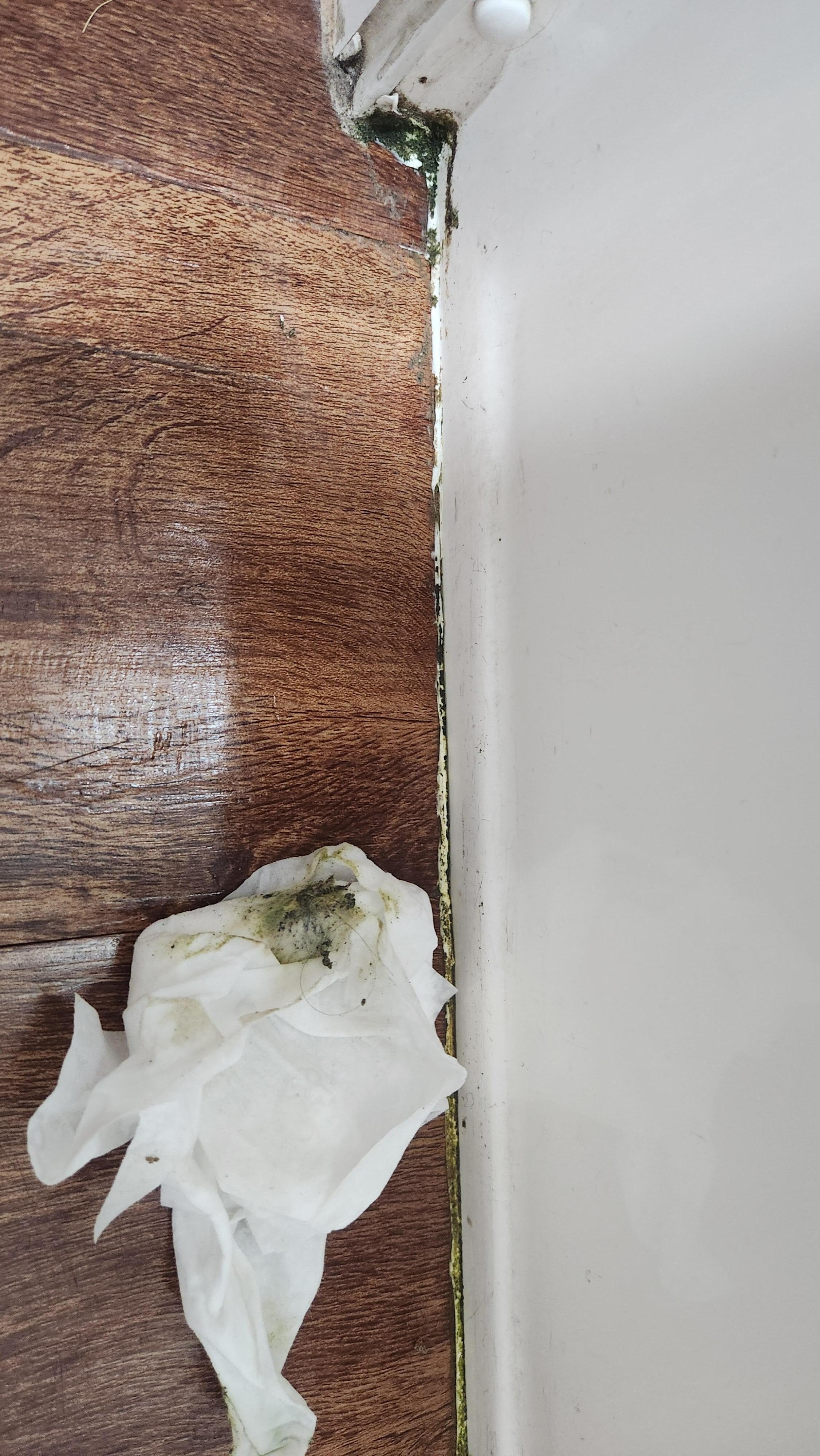 This is one wipe of a baby wipe, obviously these have not been cleaned in a very long time, not a pleasant stay