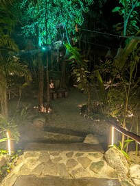 The garden at night