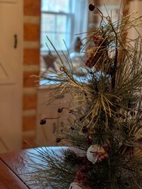 A small tree on the dining room table.