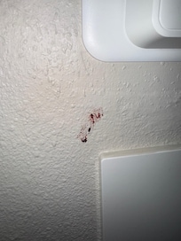 Blood on the wall near the thermostat.