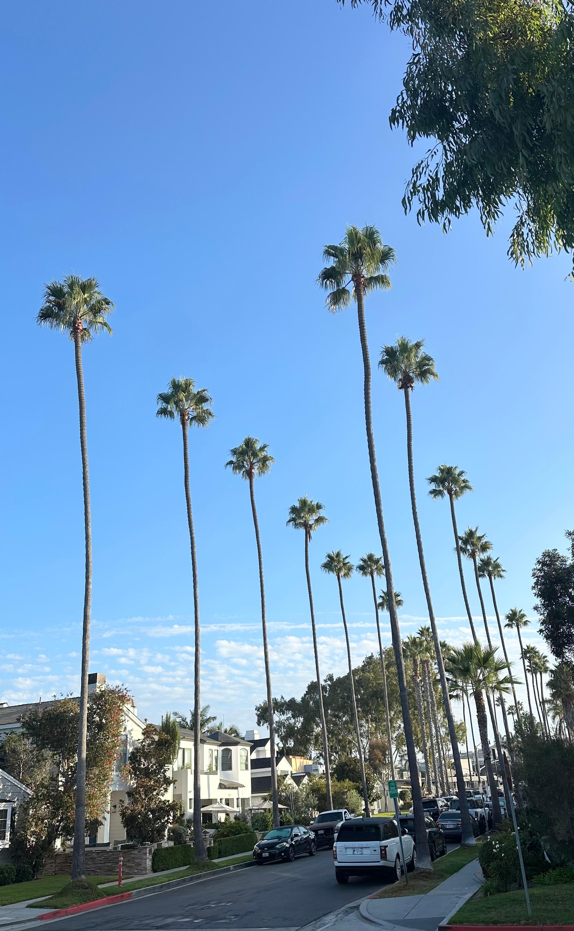 On the way to the Starbucks 