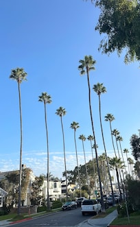 On the way to the Starbucks