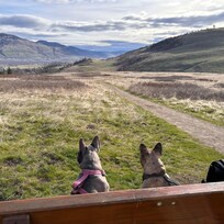 At Cosens Beach Trail taking in the view