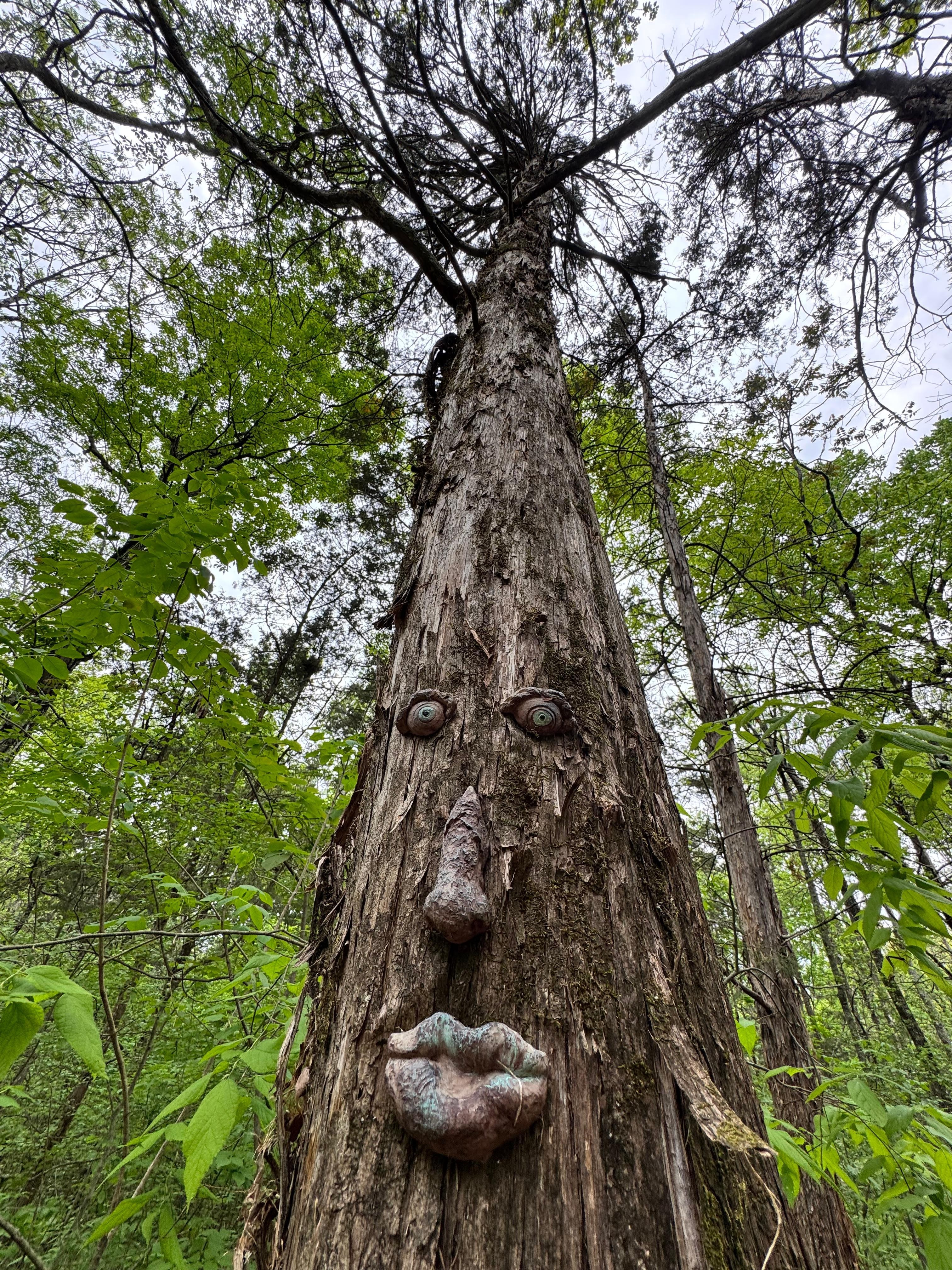 A trail lead to the property line of the state land and this sits next to it