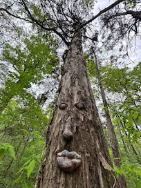 A trail lead to the property line of the state land and this sits next to it