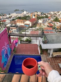 Taking in the morning view