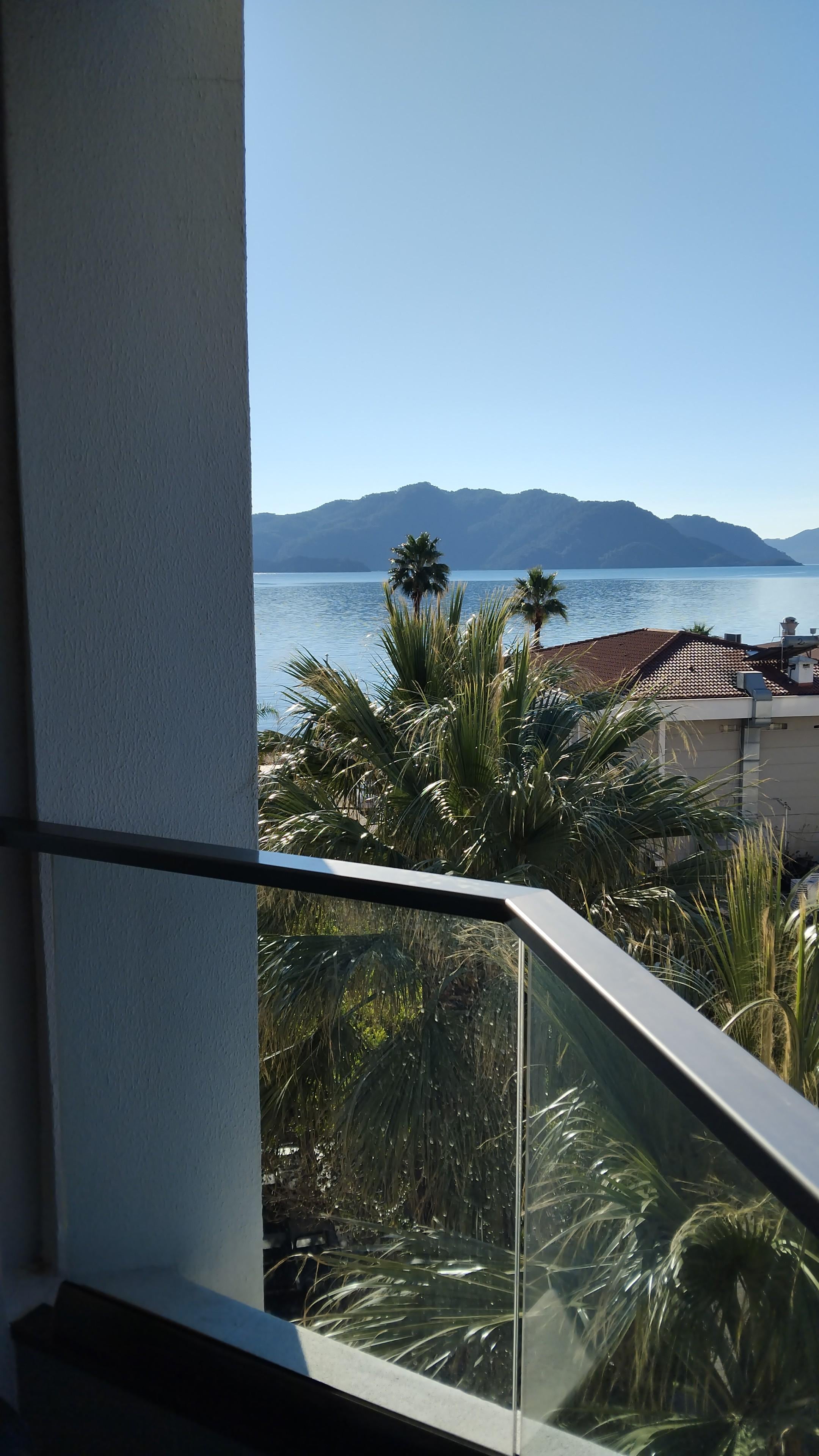 Morning view from my room 