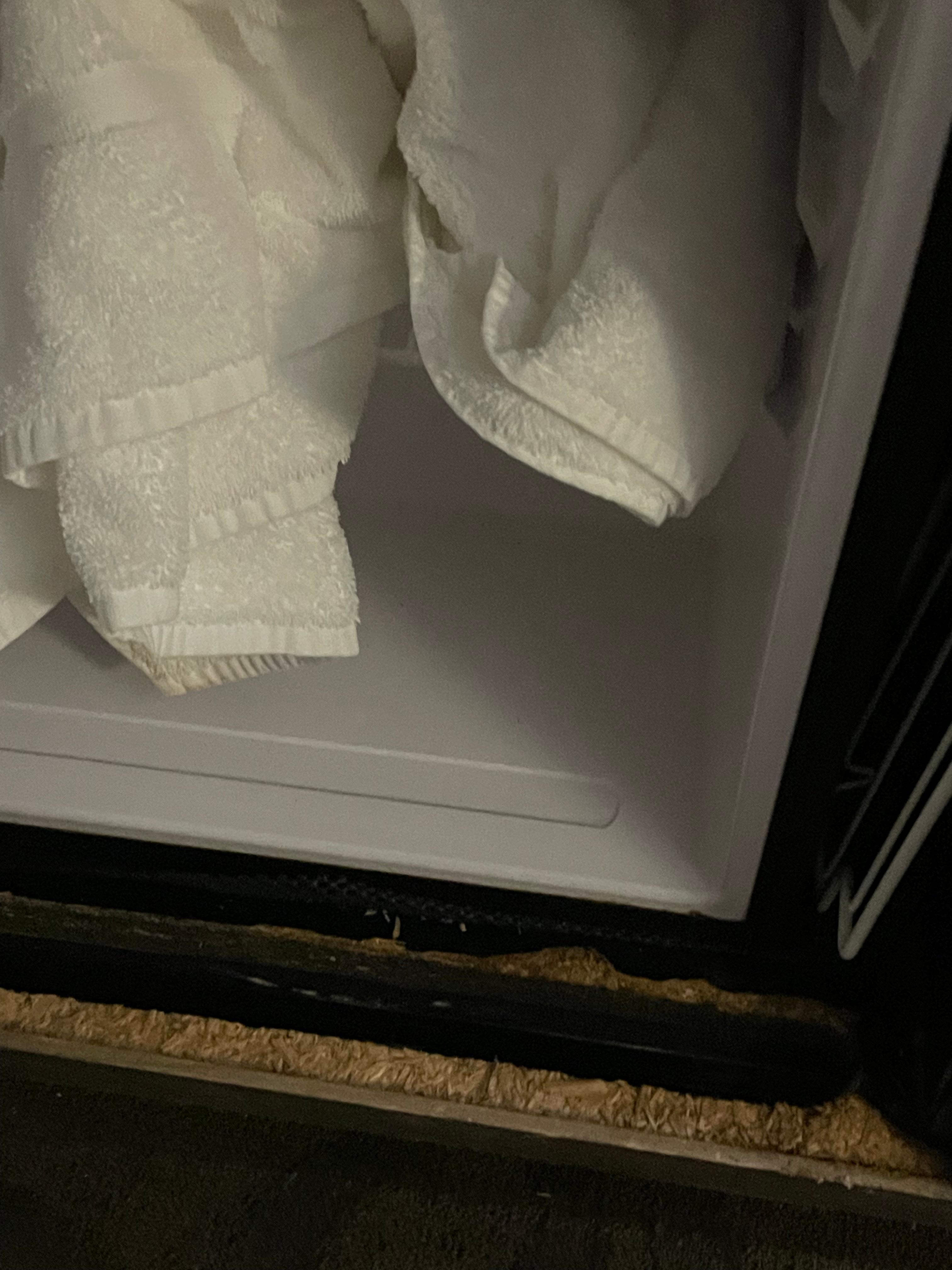 This was in the fridge. It was open upon arrival and fridge was unplugged. Housekeeping came in to clean it, then left the dirty towel on the floor. 