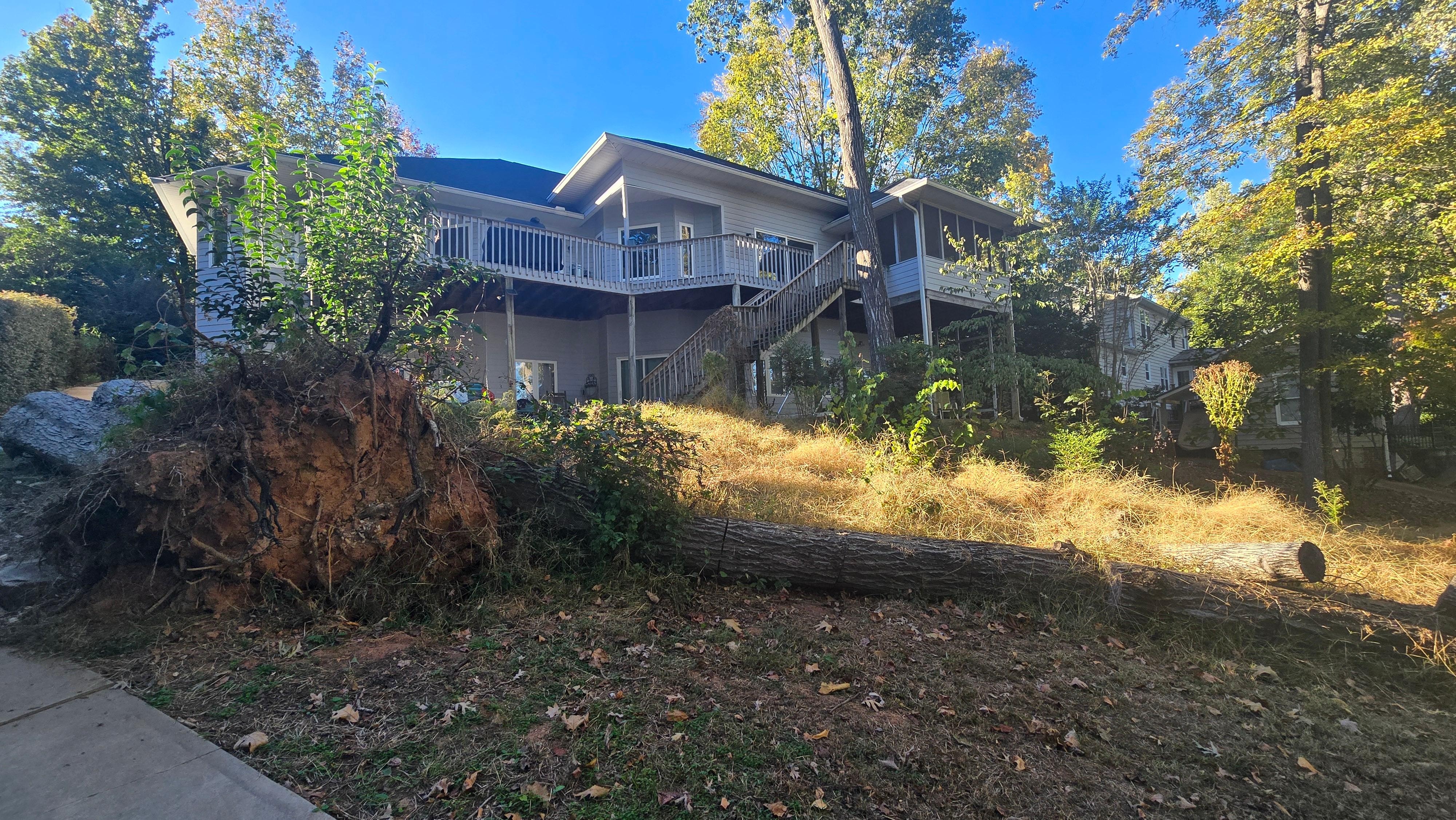 This is the back yard, which is much different than the bag yard show in the listing.