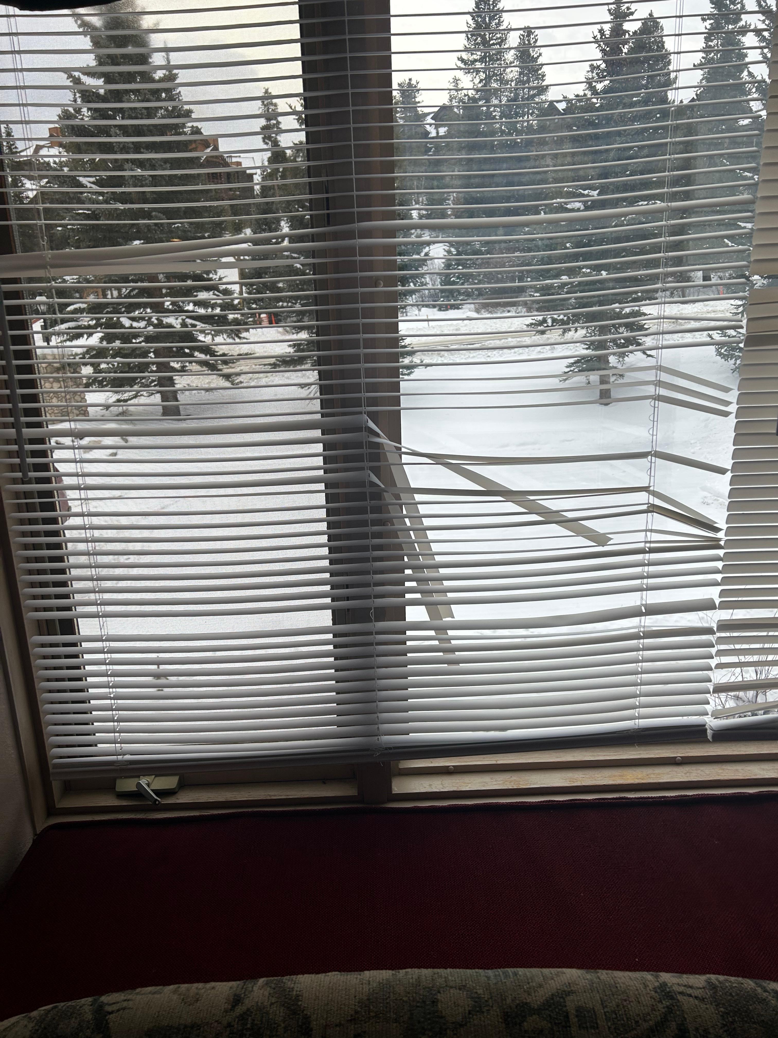 Blinds need replacing in living area.