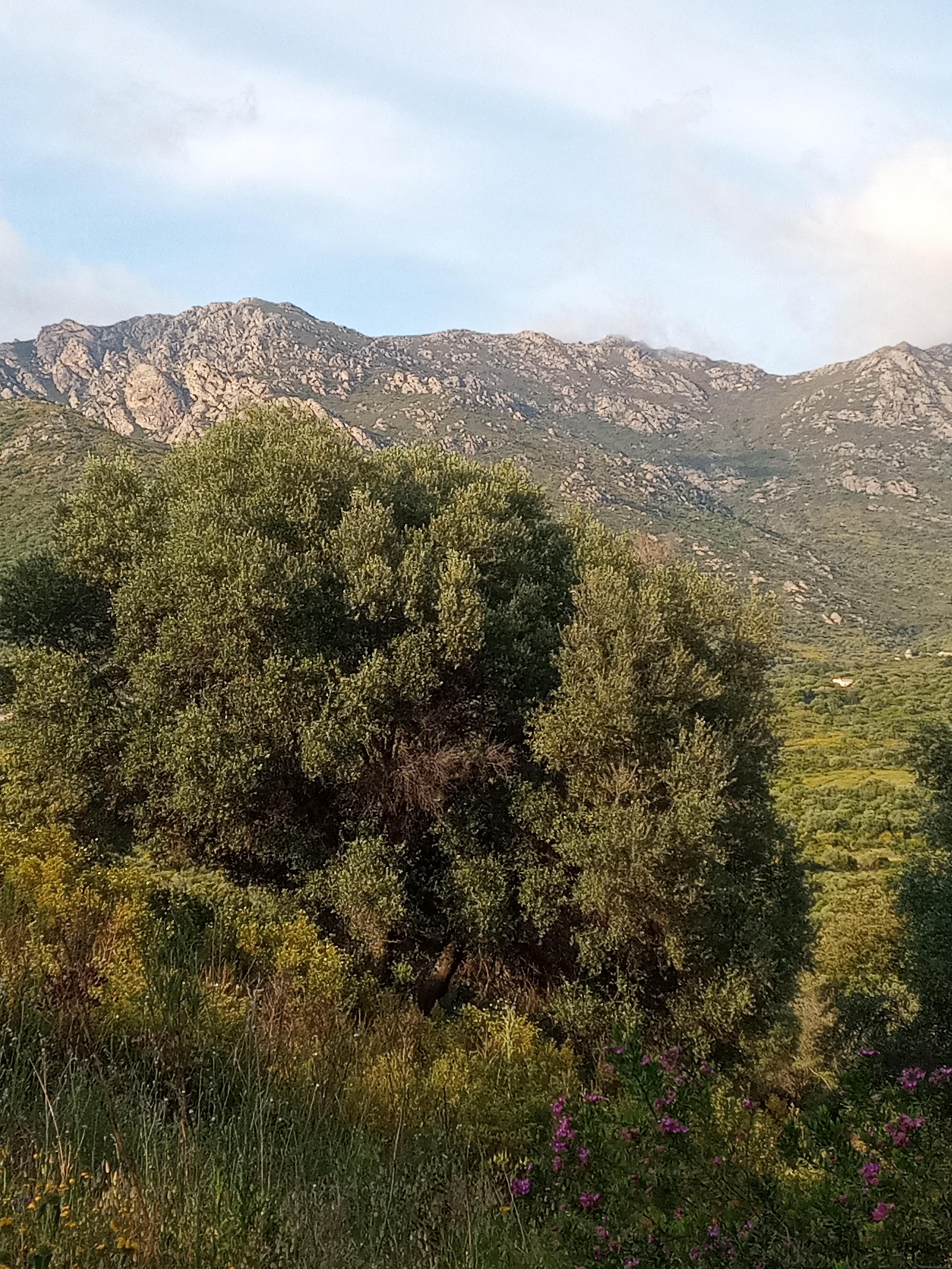 Blick von der Terrasse.
